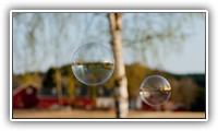 _JAR8137