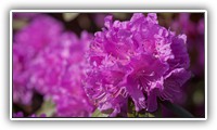_JAR8672