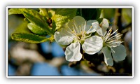 JAR_0476