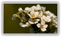 JAR_0509