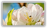 JAR_0608